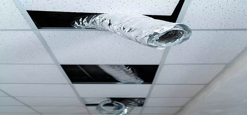 Affordable HVAC Sanitizing After Pest Removal in San Juan