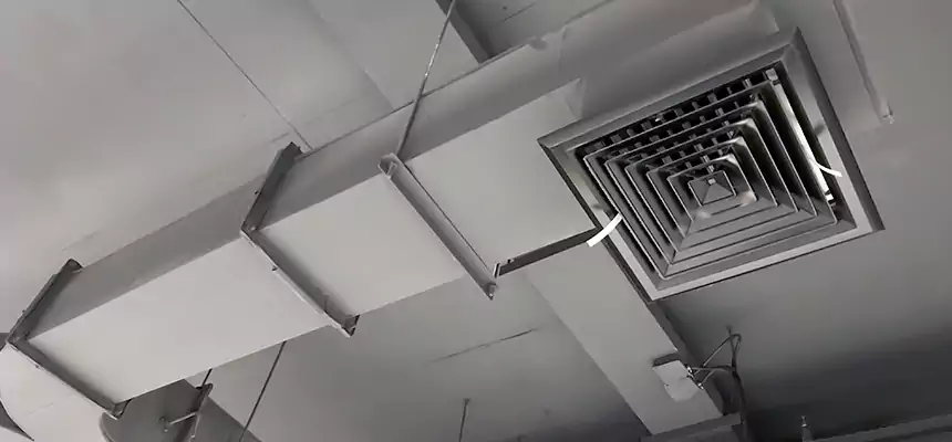 Restorative Allergy Relief Vent Cleaning – Coil, Blower & Housing Detail in San Juan