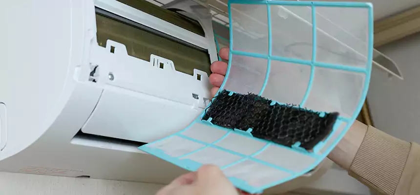 Gentle Ductwork Odor-Control Pet Dander Duct Cleaning in San Juan, TX