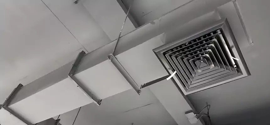 Our Rodent Droppings In Vents Services in San Juan, TX