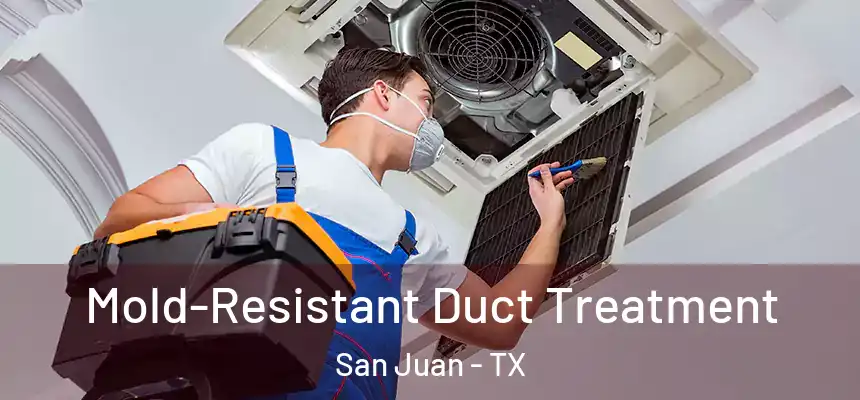 Mold-Resistant Duct Treatment San Juan - TX