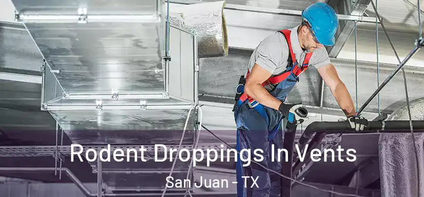 Rodent Droppings In Vents San Juan - TX