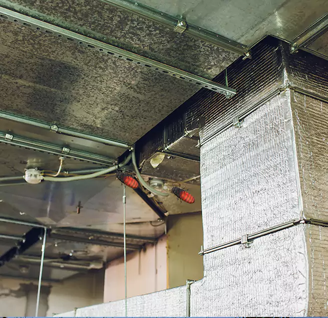 Why Homeowners & Businesses Trust Us San Juan, TX?